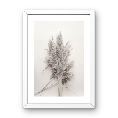 Soft Pampas