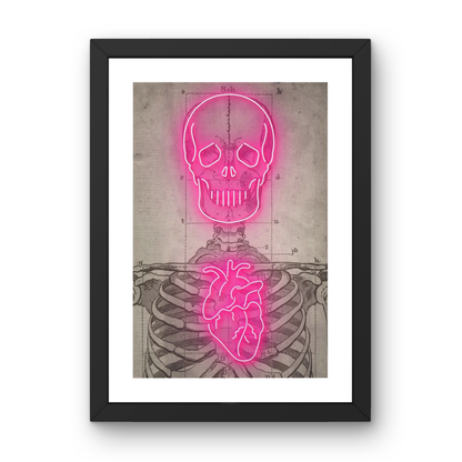 Neon Anatomy