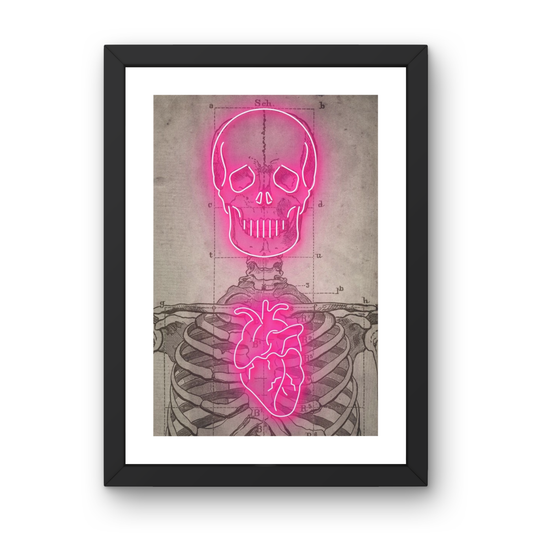 Neon Anatomy