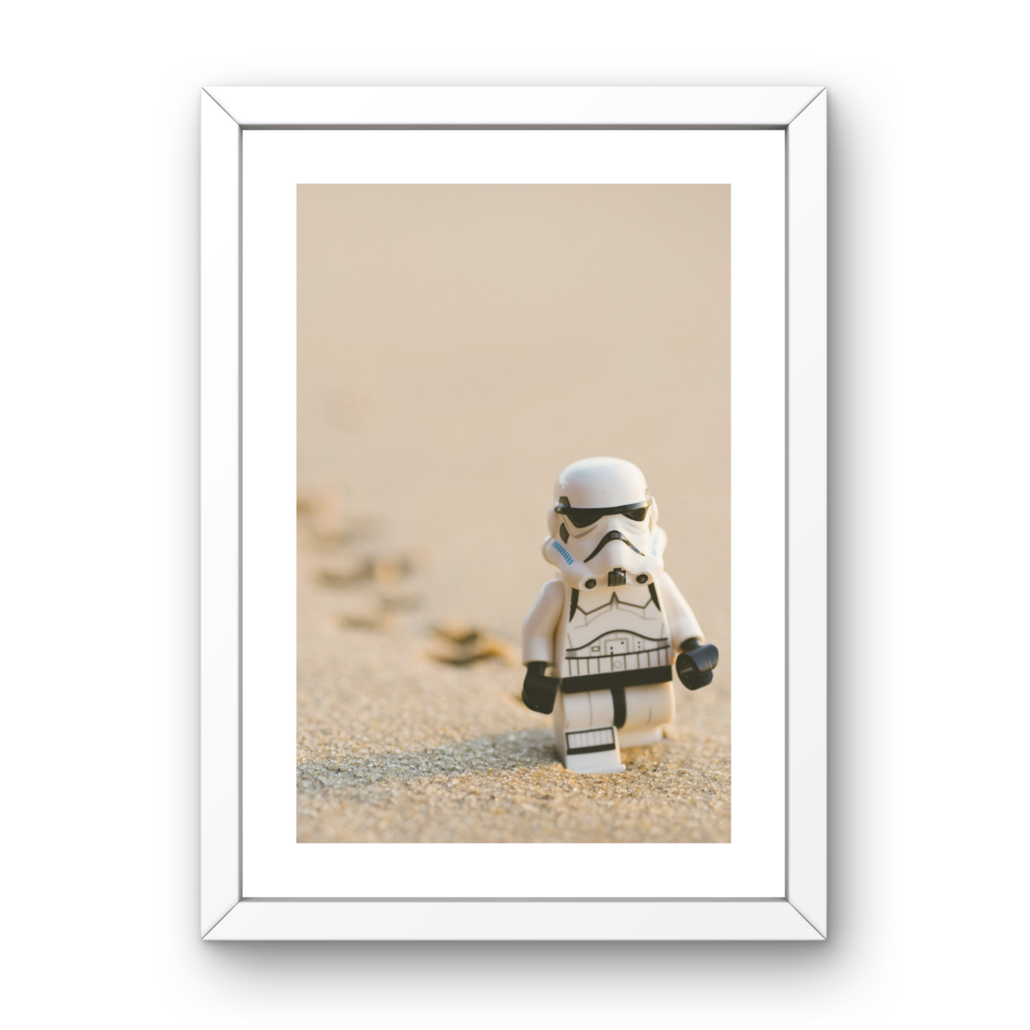 Desert Patrol Trooper