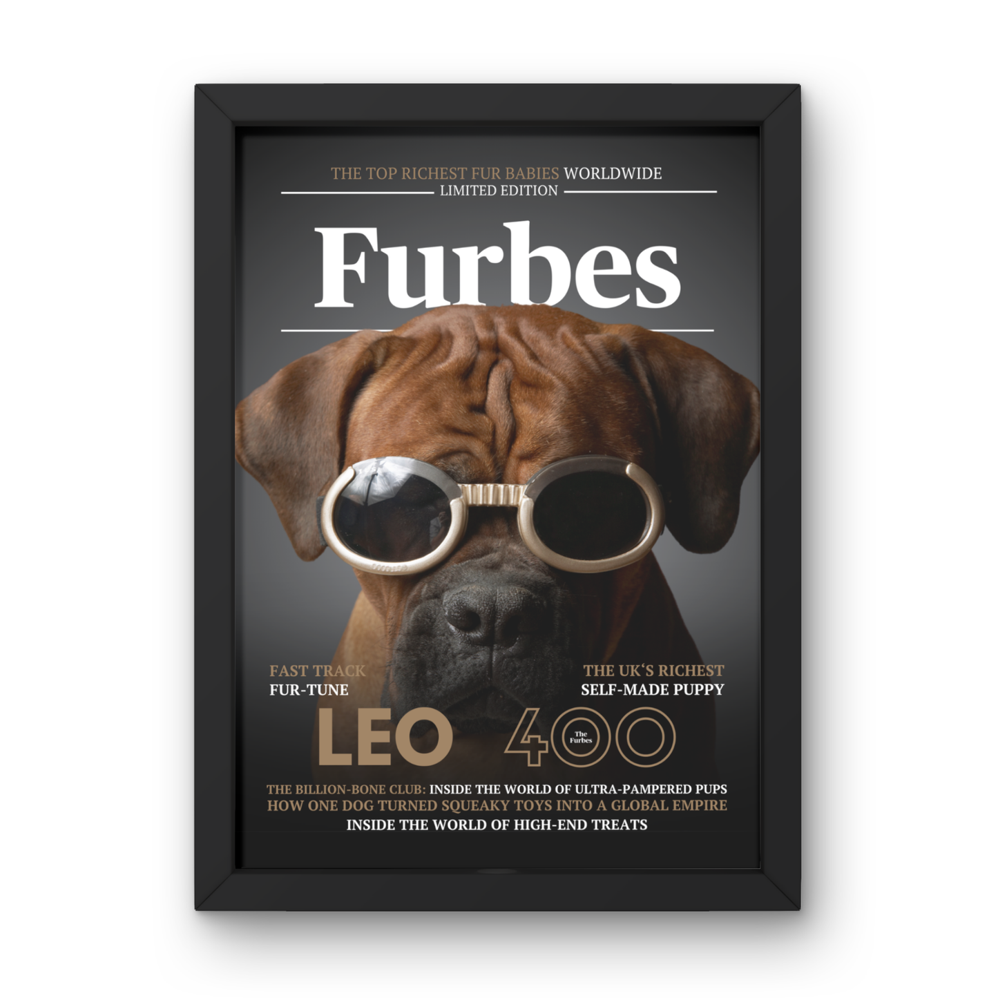 Pet Magazine Cover Print