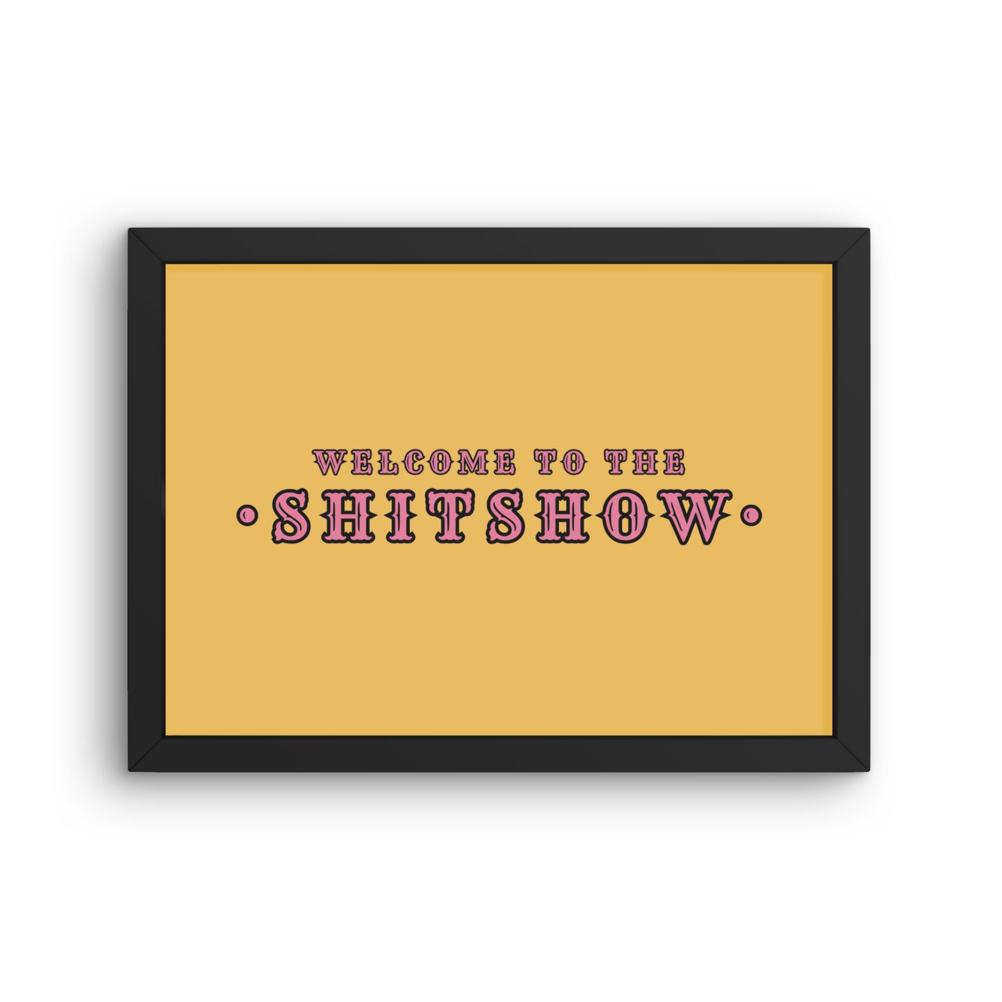 Welcome to the Shitshow