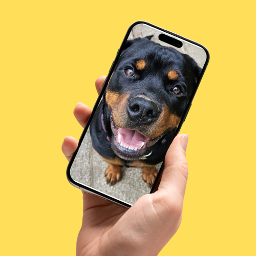 Choose and Upload a Photo