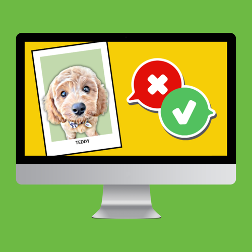 Review your draft artwork with unlimited edits
